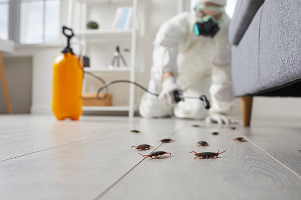 Commercial Kitchen Cockroach Control in Sumner